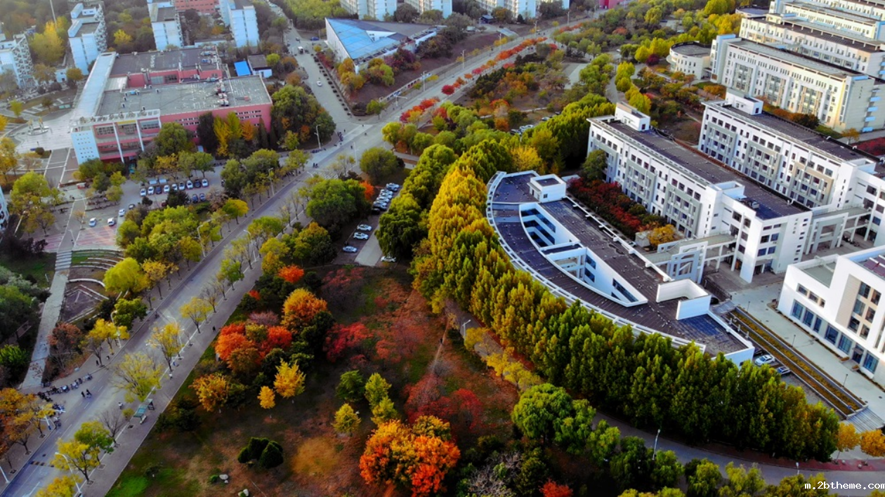 校园寻秋记:收集燕园秋日限定记忆!